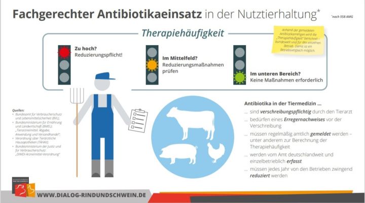 Bundesverband Rind Und Schwein Verantwortungsvoller