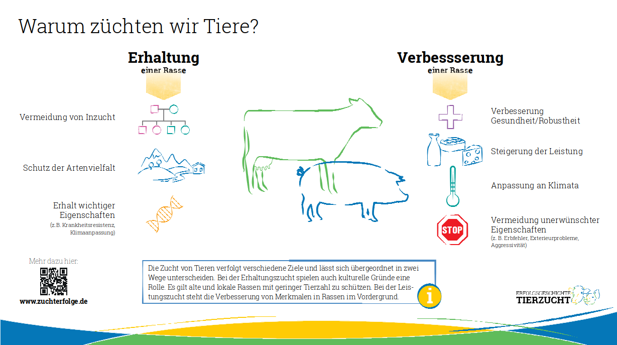 Erfolgsgeschichte Tierzucht