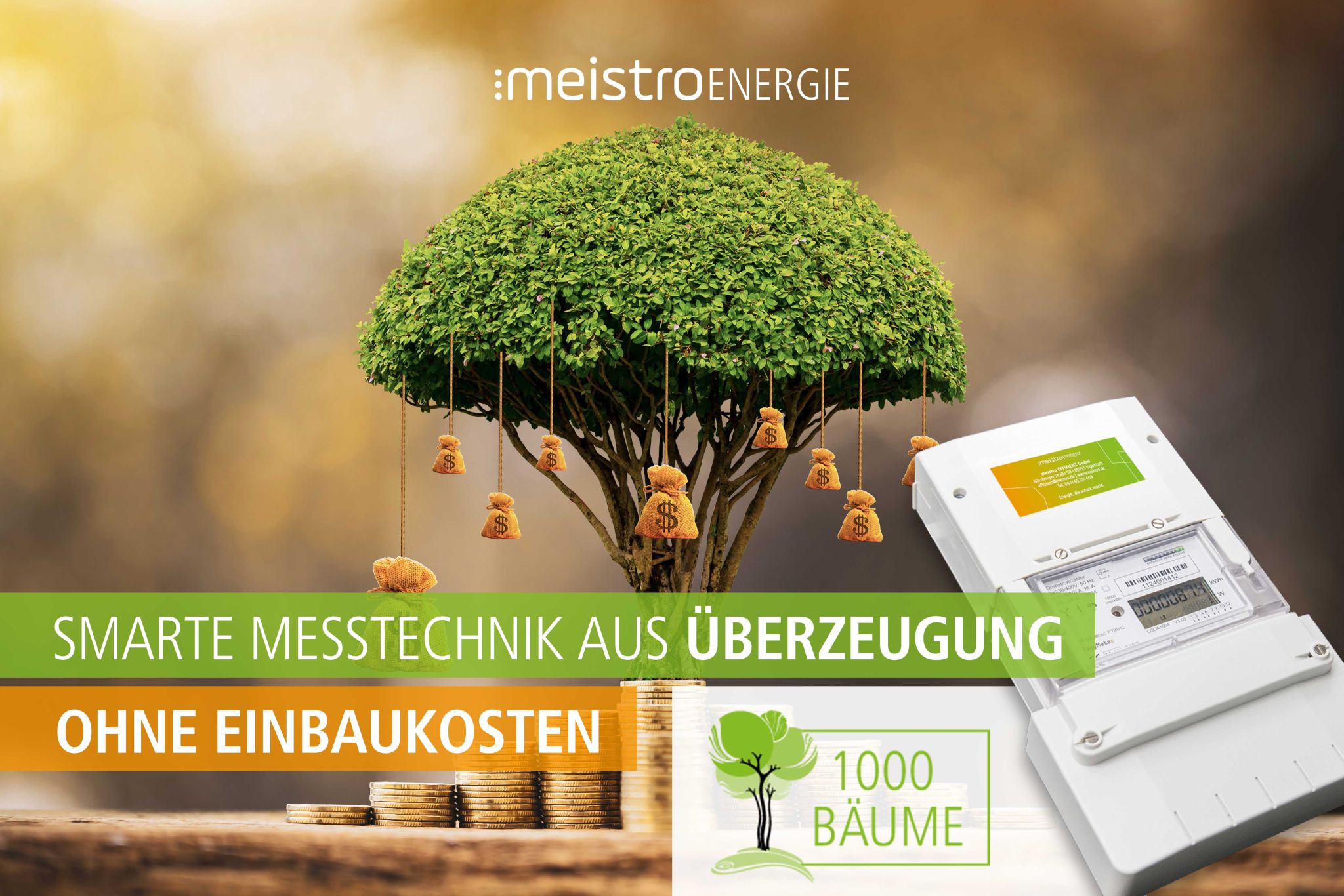 Meistro Herbstkampagne 2020