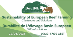 BovINE Workshop 2021