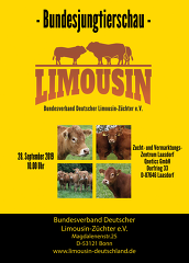 ´Limousin-Bundesjungviehschau am 28.09.2019 in Laasdorf