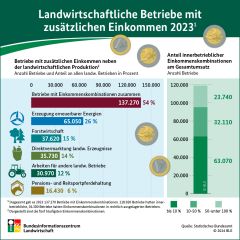 BZL Infografik Einkommensalternativen