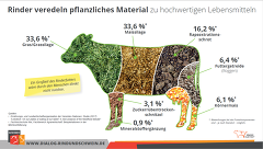 Welche Futtermittel Verwertet Die Kuh