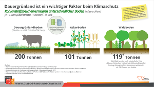 Kohlenstoff Speichervermögen Dauergrünland