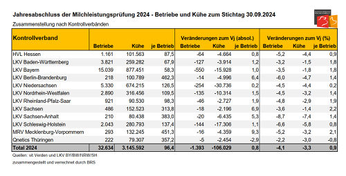 Jahresabschluss MLP 2024 JB25